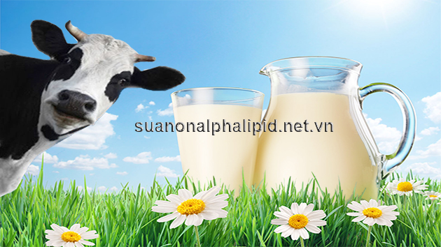 sữa non alpha lipid cho trẻ em