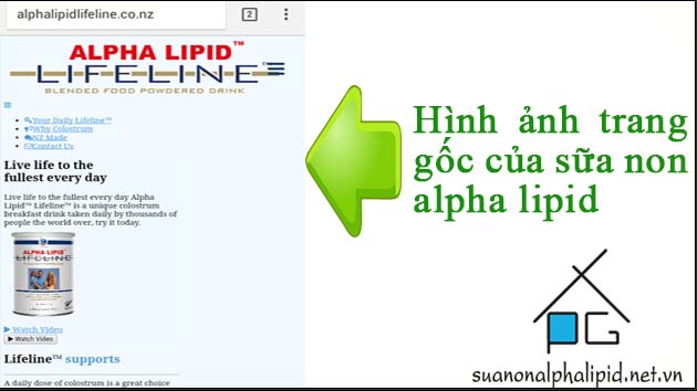 trang web goc cua sua non alpha lipid