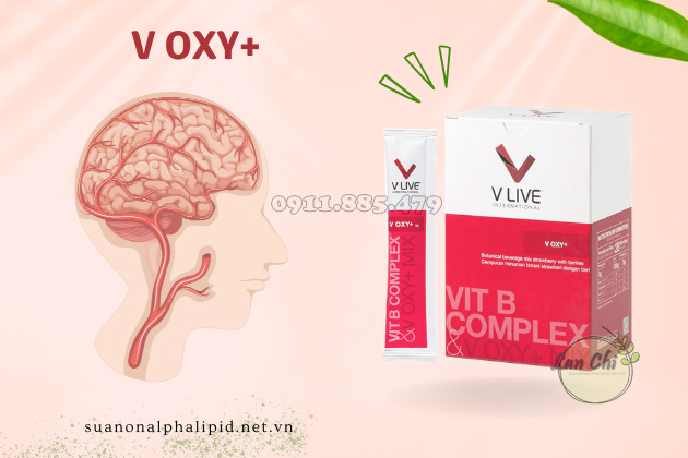 V Oxy+ giúp hỗ trợ máu lên não